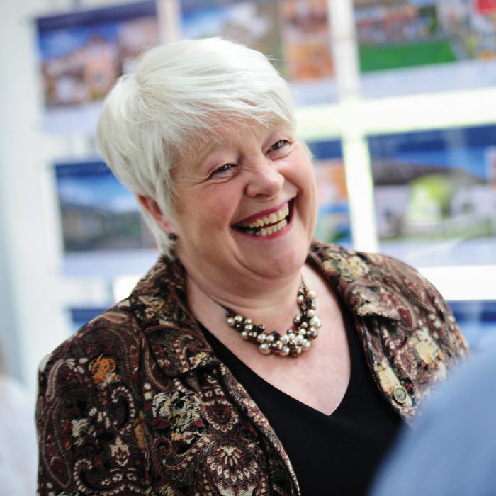 Estate Agents in Bovey Tracey